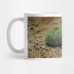 Sea Urchin on a Beach Mug